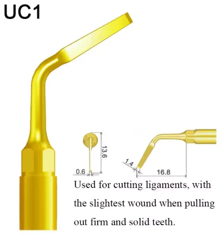VV Dental Piezo Surgery Tips Bone Cutting Sinus lifting Implant Perio Scaling Tips For Mectron/Woodpecker Dentistry Tools 2 VV Dental Piezo Surgery Tips Bone Cutting Sinus lifting Implant Perio Scaling Tips For Mectron/Woodpecker Dentistry Tools - Image 2