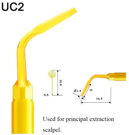 VV Dental Piezo Surgery Tips Bone Cutting Sinus lifting Implant Perio Scaling Tips For Mectron/Woodpecker Dentistry Tools 19 VV Dental Piezo Surgery Tips Bone Cutting Sinus lifting Implant Perio Scaling Tips For Mectron/Woodpecker Dentistry Tools - Image 19