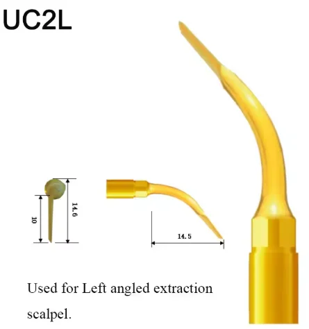 VV Dental Piezo Surgery Tips Bone Cutting Sinus lifting Implant Perio Scaling Tips For Mectron/Woodpecker Dentistry Tools 12 VV Dental Piezo Surgery Tips Bone Cutting Sinus lifting Implant Perio Scaling Tips For Mectron/Woodpecker Dentistry Tools - Image 12