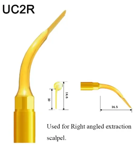 VV Dental Piezo Surgery Tips Bone Cutting Sinus lifting Implant Perio Scaling Tips For Mectron/Woodpecker Dentistry Tools 14 VV Dental Piezo Surgery Tips Bone Cutting Sinus lifting Implant Perio Scaling Tips For Mectron/Woodpecker Dentistry Tools - Image 14