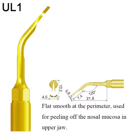 VV Dental Piezo Surgery Tips Bone Cutting Sinus lifting Implant Perio Scaling Tips For Mectron/Woodpecker Dentistry Tools 23 VV Dental Piezo Surgery Tips Bone Cutting Sinus lifting Implant Perio Scaling Tips For Mectron/Woodpecker Dentistry Tools - Image 23