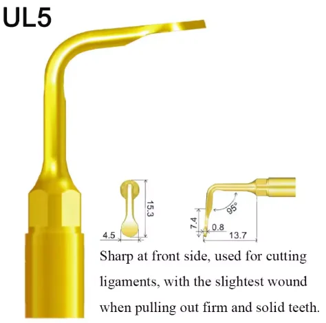 VV Dental Piezo Surgery Tips Bone Cutting Sinus lifting Implant Perio Scaling Tips For Mectron/Woodpecker Dentistry Tools 20 VV Dental Piezo Surgery Tips Bone Cutting Sinus lifting Implant Perio Scaling Tips For Mectron/Woodpecker Dentistry Tools - Image 20