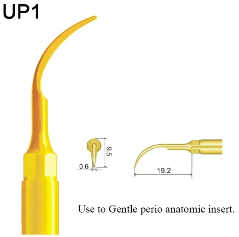 VV Dental Piezo Surgery Tips Bone Cutting Sinus lifting Implant Perio Scaling Tips For Mectron/Woodpecker Dentistry Tools 33 VV Dental Piezo Surgery Tips Bone Cutting Sinus lifting Implant Perio Scaling Tips For Mectron/Woodpecker Dentistry Tools - Image 33
