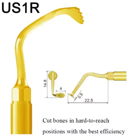 VV Dental Piezo Surgery Tips Bone Cutting Sinus lifting Implant Perio Scaling Tips For Mectron/Woodpecker Dentistry Tools 5 VV Dental Piezo Surgery Tips Bone Cutting Sinus lifting Implant Perio Scaling Tips For Mectron/Woodpecker Dentistry Tools - Image 5