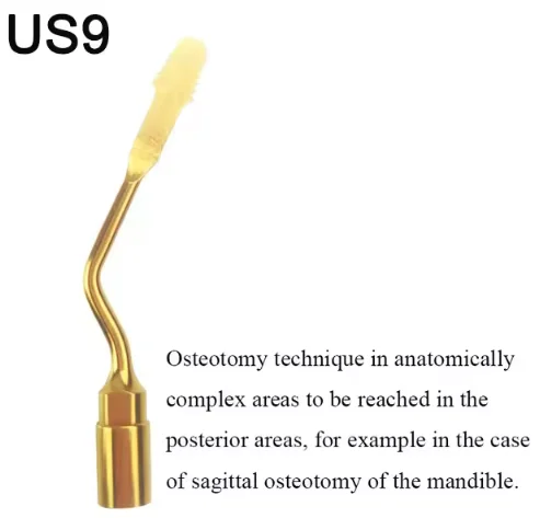 VV Dental Piezo Surgery Tips Bone Cutting Sinus lifting Implant Perio Scaling Tips For Mectron/Woodpecker Dentistry Tools 11 VV Dental Piezo Surgery Tips Bone Cutting Sinus lifting Implant Perio Scaling Tips For Mectron/Woodpecker Dentistry Tools - Image 11