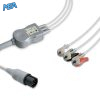 EC 3019RG A