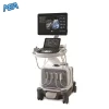 Philips EPIQ Elite ultrasound system with high resolution display