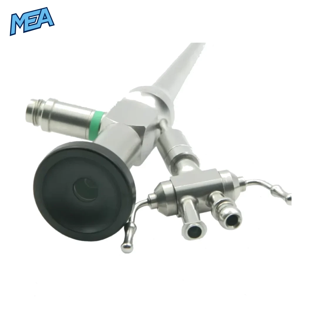 Veterinary rigid endoscope with 0° view and integrated working channel for ear endoscopy in pets